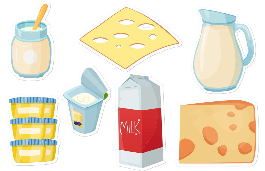 dairy products