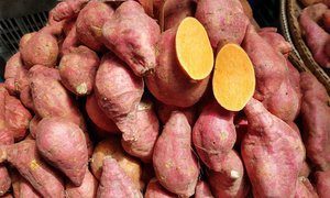 sweet potato for vitamin A